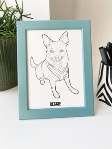 Bespoke Pet Portrait Illustration